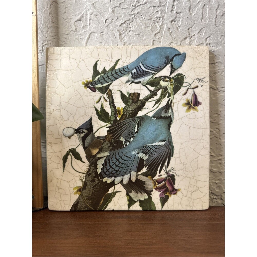 Vintage 1973 J Henley Audubon Blue Jay Birds Wall Tile Trivet Cottage Signed